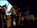 Andrew Bird: Fake Palindromes (Live at Coachella)