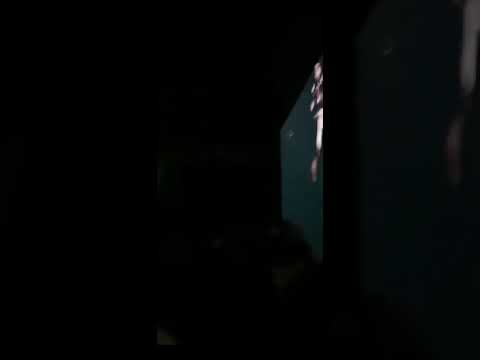 Tim&Barry JustJam (Jan 2020) DJ Oblig - K9 Logan Crafty NastyJack Faultsz ReeceWest Hitman T+ mor e