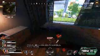 Apex配信