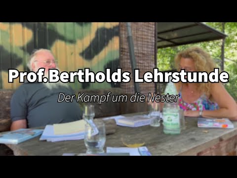 Der Kampf um die Nester | Prof.Bertholds Lehrstunde