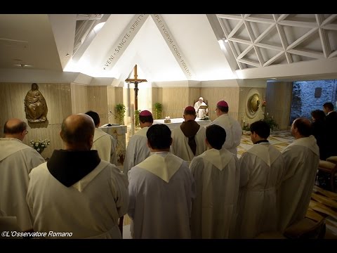 Papa: cristãos trabalhem pela unidade, fofocas dividem