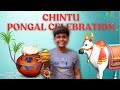 Chintu Pongal celebration | Comedy | Velujazz