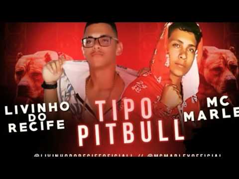 Livinho Do Recife e MC Marley - TIPO PITBULL