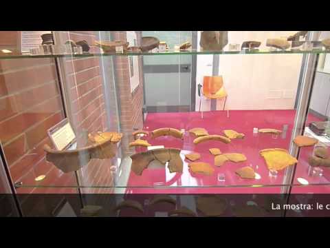 Gli Etruschi e le vie d'acqua. L'insediamento della Granchiaia a Montopoli in Val d'Arno.mp4