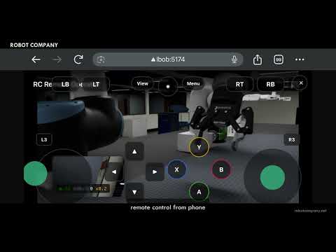 Embedded video