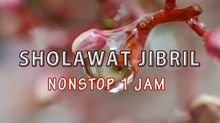 Download lagu SHALAWAT JIBRIL || nonstop 1 jam mp3 Download lagu SHALAWAT JIBRIL || nonstop 1 jam mp3
