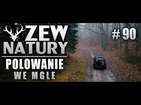Zew Natury #90 - Polowanie we mgle