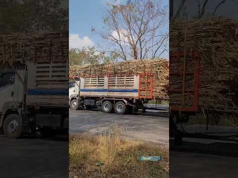 จังหวะได้ถอนตอ รถเก๋งขวางหน้า เลยเสียจังหวะครับ