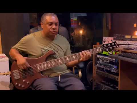 Um som com meu Strinberg “SAB66 DW”, baixo original!!! Sem perguntas qual pedal, captador, circuito!