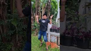 Download lagu Mau ketawa takut dosa video lucu bikin ngakak hiburan warga 62 funny videos #funny #shorts #viral mp3