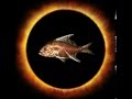 fish-the other side of me 