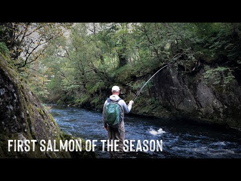 First salmon of the season
