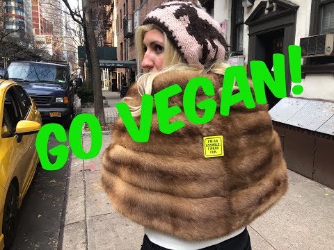 All I Want For Christmas VEGAN PARODY