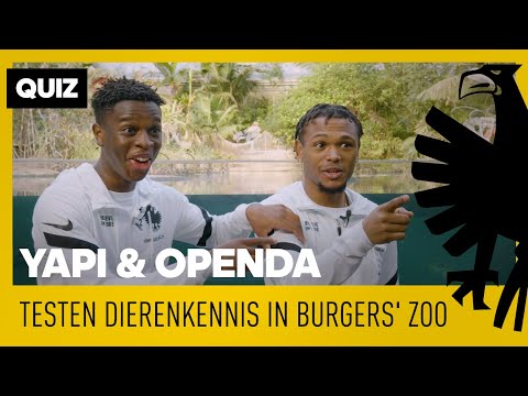 QUIZ | Openda en Yapi testen dierenkennis in Burgers' Zoo 🦒❓🐘