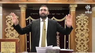 פרשת ויצא | איך זוכים להיות שמחים בחיים ולמשוך לעצמנו שפע וברכה? | הרב יעקב עשור (ארגון ענפים) - התמונה מוצגת ישירות מתוך אתר האינטרנט יוטיוב. זכויות היוצרים בתמונה שייכות ליוצרה. קישור קרדיט למקור התוכן נמצא בתוך דף הסרטון