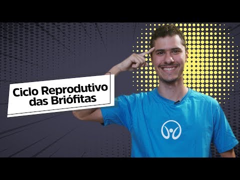Reproductive Cycle of Bryophytes - Brasil Escola