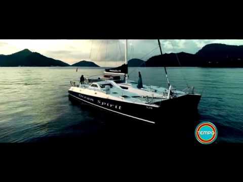 V  Bozeman ft  Ziggy Ranking    What Is Love  Remix Official Music Video