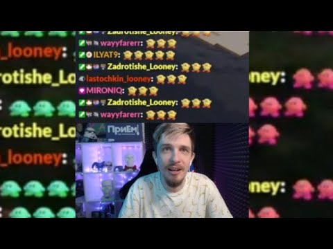 Polkaholica на стриме Jack Looney