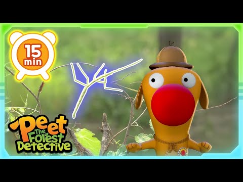 Stick Exploration Tales 🌟🌳 | Nature Stories For Kids | Peet The Forest Detective
