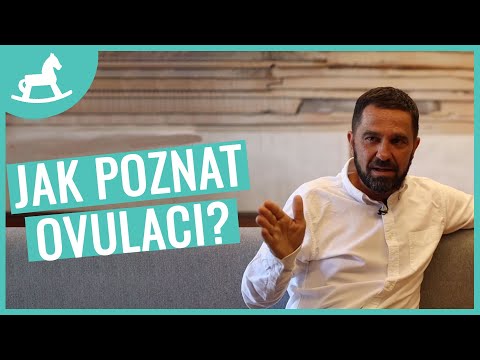 Ovulační test - jak zjistit plodné dny? - Modrý koník