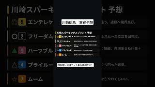 競馬予想　川崎スパーキングスプリント