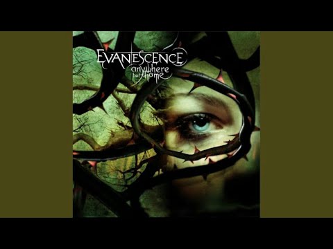 Video thumbnail for My Immortal (Live from Le Zénith, France 2004)