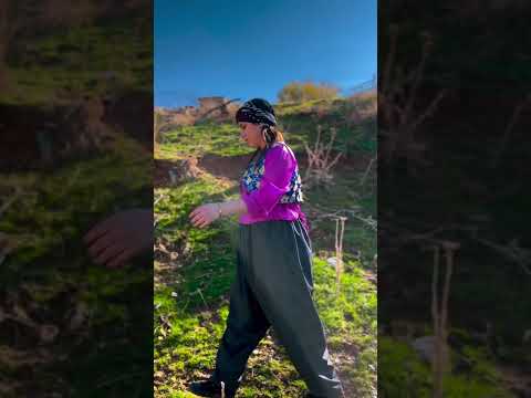 #kurdistan #kurdish #payam