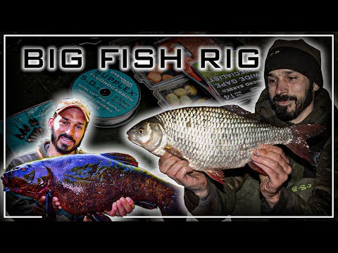 How To Tie A Helicopter Rig For Specimen Fish | Daniel Woolcott