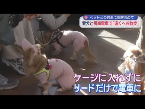 YouTube Video 愛犬と岳南電車でお散歩　この日だけはケージに入れずにリードだけで電車に乗ることができる　静岡・富士市