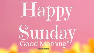 Happy Sunday WhatsApp Status Video🤘"Happy Sunday"  Hindi,Tamil,Telegu