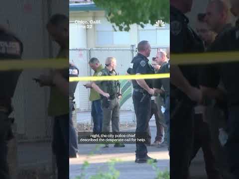Suspect allegedly planned 'Columbine'-style shooting at California library