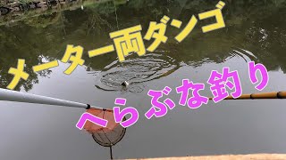 ばらけエサ多めのメーター両ダンゴ【野池でへらぶな釣り】