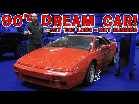 This is what happens when you don't drive your supercar! Crazy reason 1990 Lotus Espirit doesn't run