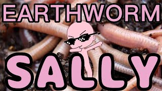 Flamingo Earthworm Sally Lyrics Th Clip - 