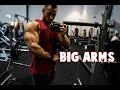 SO YOU WANT BIG ARMS | Technique is only the beginning!
