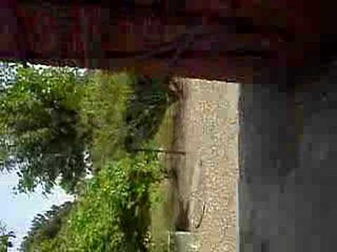 Kampplaats Bocholt The Movie!