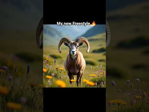 New freestyle #foryou #viralshorts #newfreestyle #luckyvibez.1#fyp