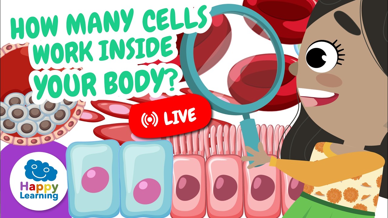 🔴 LIVE: JOURNEY INSIDE THE CELL! 🦠 What’s hidden inside you? @HappyLearningEN