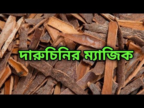 download lagu mp3 mp4 Cinnamon Bengali, download lagu Cinnamon Bengali gratis, unduh video klip Cinnamon Bengali