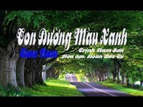karaoke Con Đường Màu Xanh  tone Nam 🎤