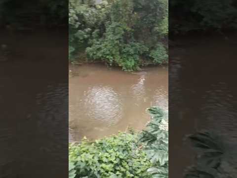 restaurante Beira Rio  itaperucu Paraná vídeo enviado por um seguidor