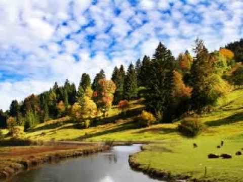 download lagu mp3 mp4 Mere Gurudev, download mp3 Mere Gurudev free download mp3, download mp3 Mere Gurudev