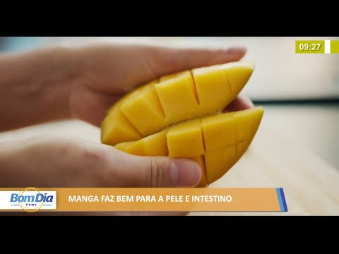 Manga traz benefícios para a pele e o intestino 08 07 2021