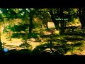 Orae Murai Un Dharishanam Tamil 5 1 HD Video Song Ilayaraja Hits