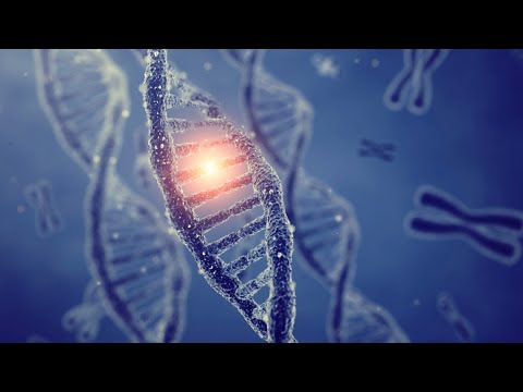 Abitur Biologie: Mutation (Substitution),missense & nonsense & stille Mutation Teil 1