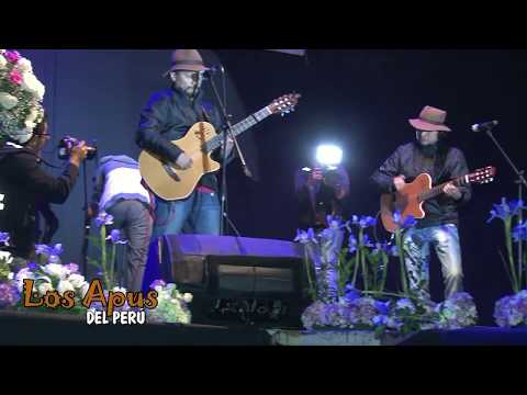 LOS APUS DEL PERÚ ► Mix HUAYNOS - EN CONCIERTO (En Vivo) ♫