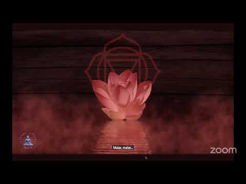 Dita 1 - Trajnimi Falas