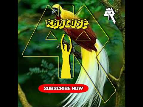 Ozlam - Bad Girl (Ft. Lingus) Prod by Ozlam 2018 [ranlose]