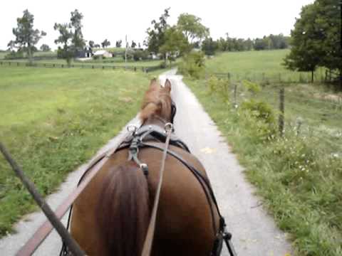 Handy - Driving Down Our Country Road