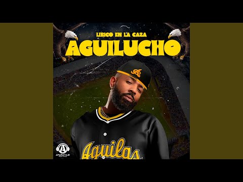 Aguilucho
